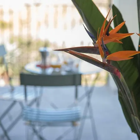 La Strelitzia Mare Appartamento