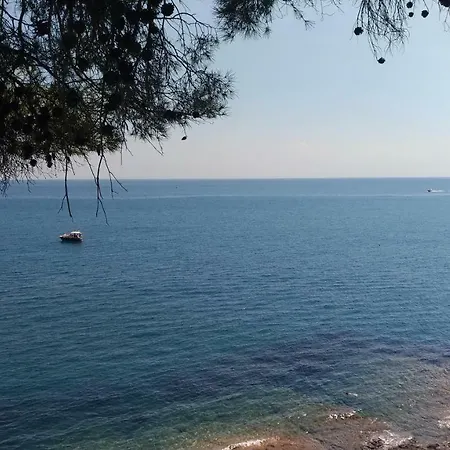 Apartment La Strelitzia Mare *